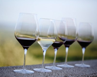 Produção de vinho deve recuar 3% entre 2018/2019 para 6,5 milhões de hectolitros