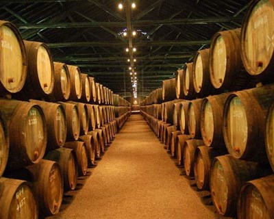 Produção de vinho do Porto vai cair em 2018 após seis anos de ascensão