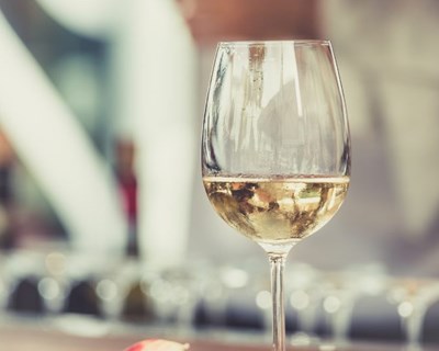 Produção de vinho nos Açores vai quadruplicar em cinco anos
