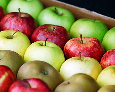 Produtores de fruta antecipam colheitas devido ao calor