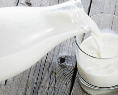 Produtores de leite aprovam as medidas articuladas pela ministra
