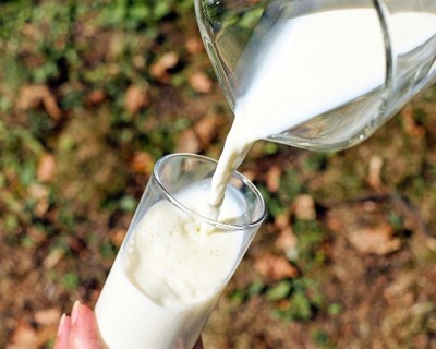 Produtores de leite denunciam nova descida do preço. Em 5 meses leite desceu 11 cêntimos por litro à produção