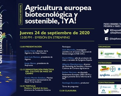Produtores de milho portugueses e espanhóis abordam o grande valor da biotecnologia na agricultura sustentável em webinar