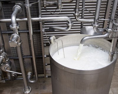 Produtores nacionais de leite são os mais mal pagos da UE e dirigem carta ao Governo, indústrias de laticínios e distribuição