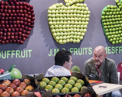 Produtores portugueses de frutas e legumes querem chegar aos €500 milhões em exportações para Espanha até 2019