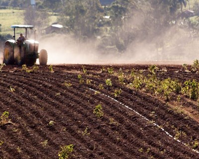 Produtos agrícolas no topo da subida das exportações para Angola