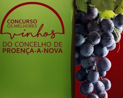 Proença-a-Nova lança concurso dos melhores vinhos do concelho