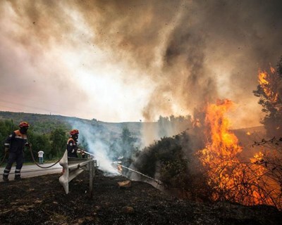 Proença-a-Nova reflete sobre a ciência perante a tragédia dos incêndios