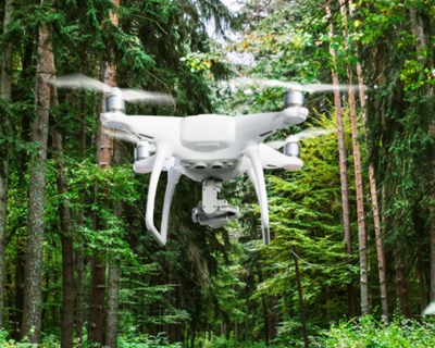 Projeto europeu recorre a drones e ao Copernicus para deteção remota de pragas florestais