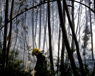 Projeto “Floresta Segura” ensina agricultores a fazer queimadas em segurança