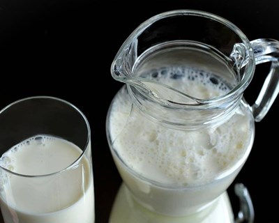 Projeto Milkfibre desenvolve fibras a partir do leite não alimentar produzido nos Açores
