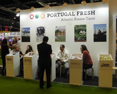 Promoção internacional das frutas e legumes portugueses retoma em outubro em Madrid