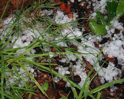 Queda de granizo e trovoada seca voltam a causar prejuízos a produtores, desta vez do interior norte