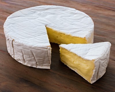 Queijo Camembert pode estar em vias de extinção