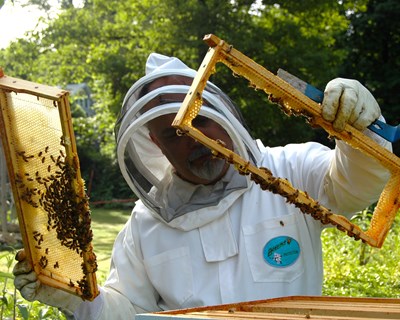 Questionário aos apicultores portugueses no âmbito do Projeto Beekeper Safety