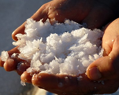 Recolha de sal em Castro Marim com aumento de produção em vista