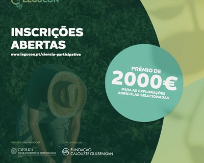 Região Norte: Prémio de 2000 euros para produzir leguminosas