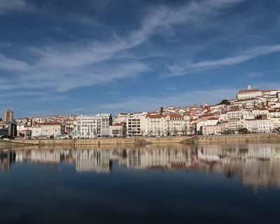 Relatório alerta para falta de indústria agroalimentar na região de Coimbra