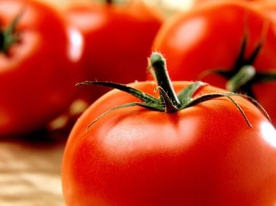 Ribatejo Interior: TAGUS ajuda PMEs agroalimentares a preparem-se para os mercados externos