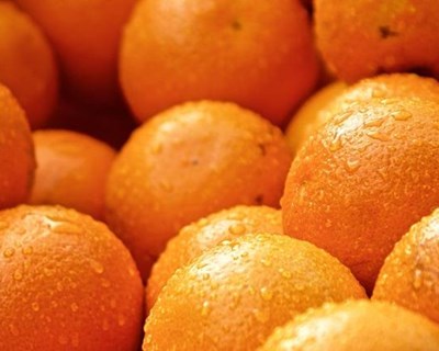 Rota da Laranja e experiência do laranjal em Valadares