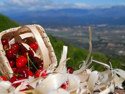 Rota Gastronómica da Cereja do Fundão estreia-se no Porto