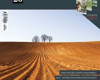 Rotações culturais no Alqueva é o tema da AGROTEC n.º 20