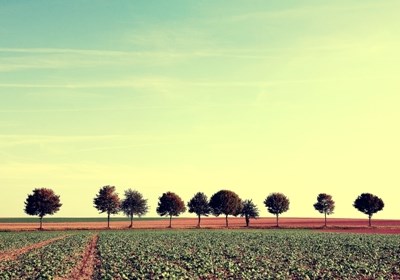 Roteiros “Visão 2020”: em maio debate-se o futuro da agricultura portuguesa