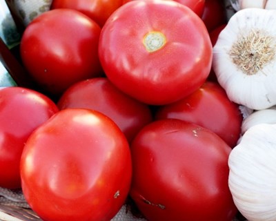 Santarém: tomate, azeite e alho em destaque