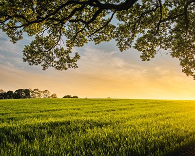 Saragoça acolhe Fórum Jovens Agricultores