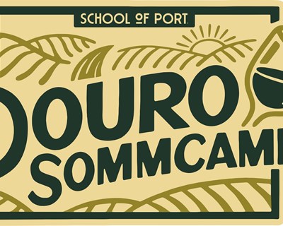 School of Port lança o seu primeiro Bootcamp Educativo: Douro Somm Camp