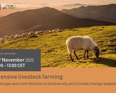Seminário online dedicado à pecuária extensiva, biodiversidade e alterações climáticas
