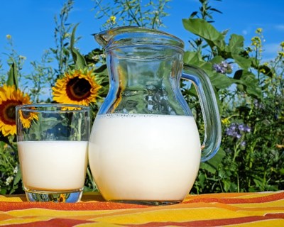 Setor leiteiro apela a prevenção de futuras crises na Europa