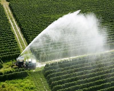 Setores da agricultura e pecuária consomem 74,7% da água em Portugal