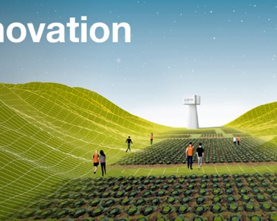 Syngenta apresenta inovação no desenvolvimento de variedades hortícolas de forma virtual