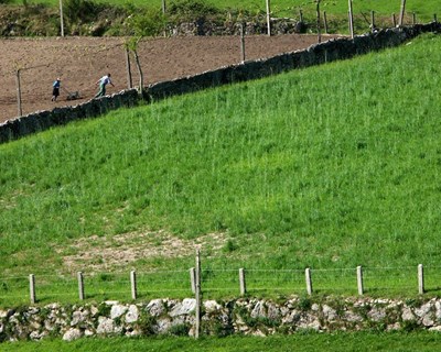 TAGUS com candidaturas abertas para apoiar investimentos nas explorações agrícolas no Ribatejo Interior