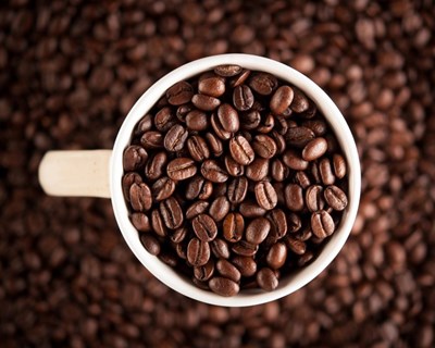 Timor-Leste quer duplicar produção de café e triplicar valor para 65 milhões de euros até 2030
