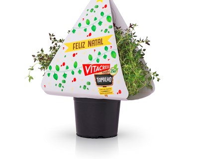 Tomilho Vitacress é a planta aromática deste Natal
