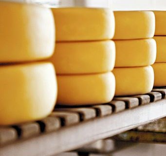 Tondela recebe concurso com mais de duas centenas de queijo em avaliação