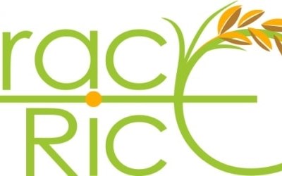 TRACE-RICE: Rastreabilidade do arroz e valorização dos sub-produtos ao longo da blockchain do mediterrâneo