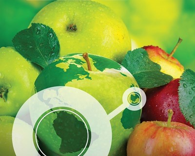 Transitex marca presença na nova edição da Fruit Logistica 2020