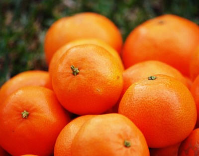 UE avalia positivamente os sistemas de exportação de citrinos da Argentina