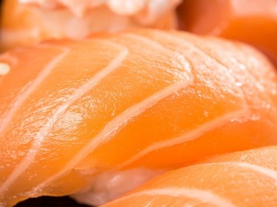 Um salmão transgénico em breve no prato dos norte-americanos