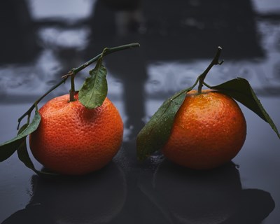 Universidade da Flórida descobre como controlar doença "greening" dos citrinos