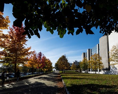 Universidade do Minho está entre as mais sustentáveis do mundo