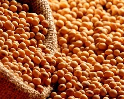 Uruguai aumenta produção de soja e reduz aplicações de agroquímicos