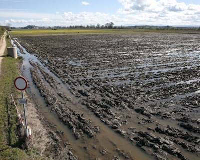 Vale do Mondego: obra de €40 milhões no regadio concluída em setembro