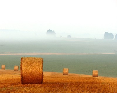 Valorfito: setor agrícola reuniu-se para debater nova licença e desafios para 2018