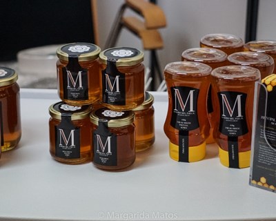Vespa velutina ensombra «ano excecional» de produção de mel no Caramulo