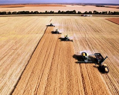 Viana do Castelo debate Agricultura de Precisão