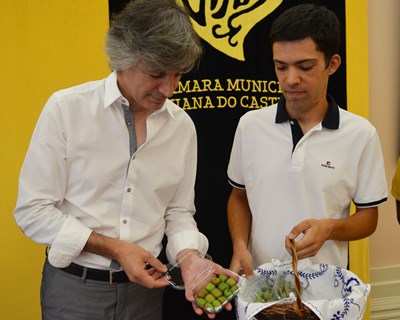 Viana do Castelo: prémio “Jovem Agricultor” entregou à Câmara exemplares de primeira colheita de kiwis